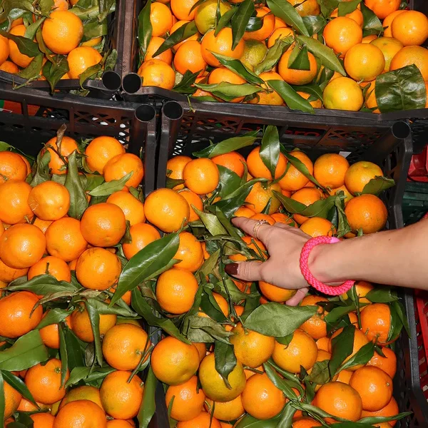 ORIGINAL HAIR TIES | strong pink